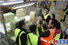 2015年荷斯坦代表團赴Balco南澳燕麥加工廠開展奶業(yè)技術(shù)交流